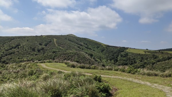 冷擎/擎天崗環形/風擎步道+石梯嶺頂山1110123