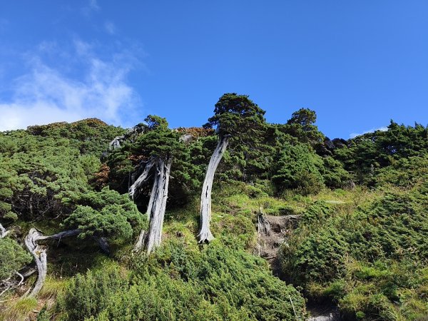 北一段(11/14)南湖北峰 2025_0906~132887346