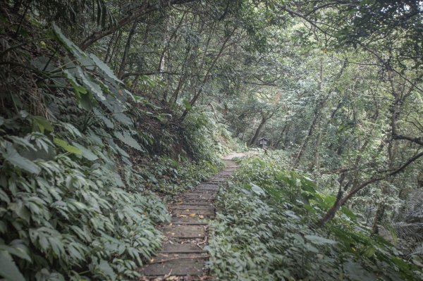 馬胎古道 （馬胎一期、南坪古道、內灣老街）3073880