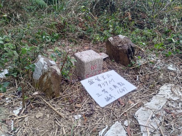 盆貿里山三盆連走2749599