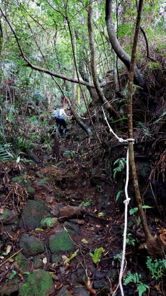 平溪大湖格隧道，石底觀音山、刀石崙、一坑古道O型1970859