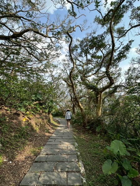 20250404忘憂谷步道2755446