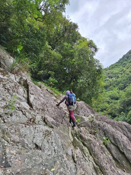 烏來西坑林道/探勘派出護管所彈藥庫遺址至獅坑橋2576321