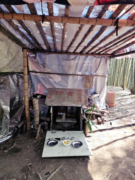 溪頭四秀 - 南投縣鹿谷鄉3023262