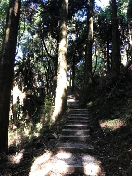 阿里山雙峰大塔山對高岳連走451422