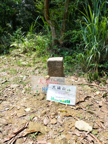 烏來大桶山（由桂山路攀登）2492869