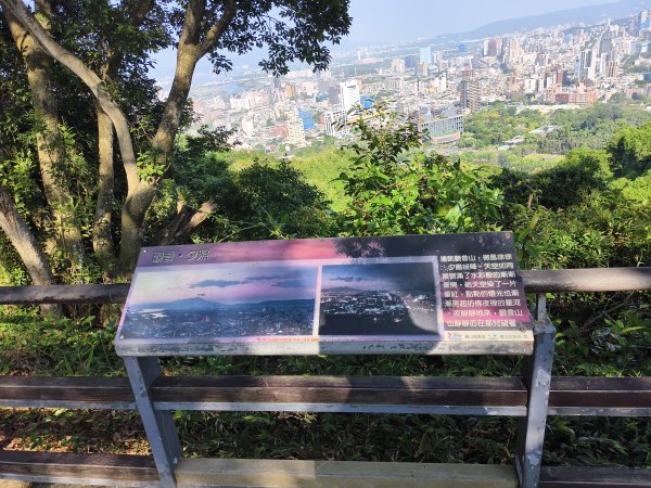 [百山百鳥尋旅-14/15] 2025_0929 劍潭山親山步道2900901