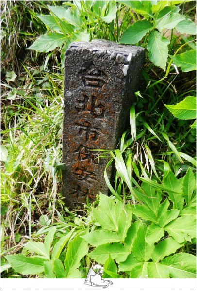 大屯山群峰步道(大屯山主峰、南峰、西峰)882583