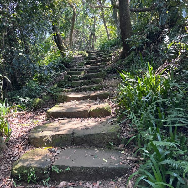 天上山2780409