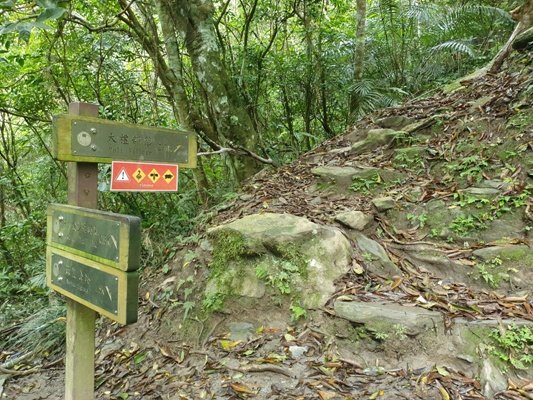 【花蓮秀林鄉】立霧山步道905349