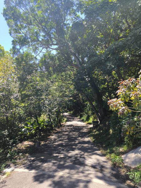 20250906泰山辭修公園、尖棟山、69步道、瓊仔胡2879474