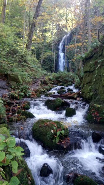 奧入瀨溪健行444354