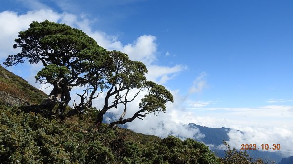 第八次合歡山主/東/北峰單攻-雲海/觀音圈&日出火燒雲/夕陽火燒雲2332206