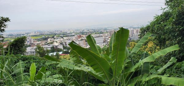 2021-10-23阿罩霧山、中心瓏步道1495950