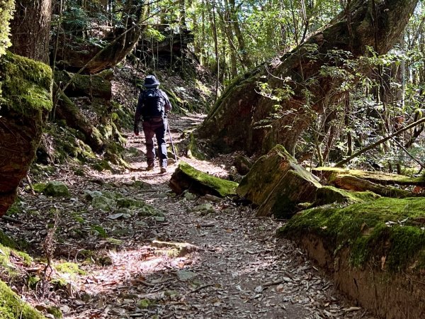 船型山環走大雪山210林道2978043