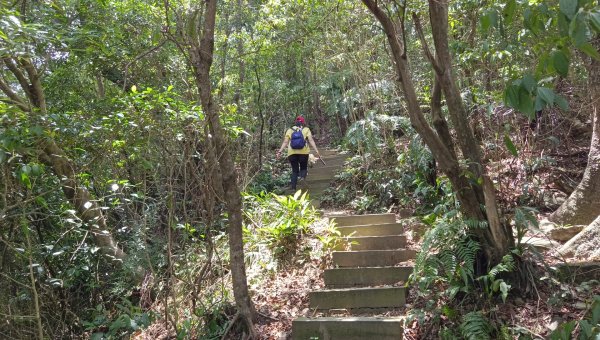 (姨婆趴趴走)第十七集:基隆暖東峽谷環山遊憩步道健走2228413