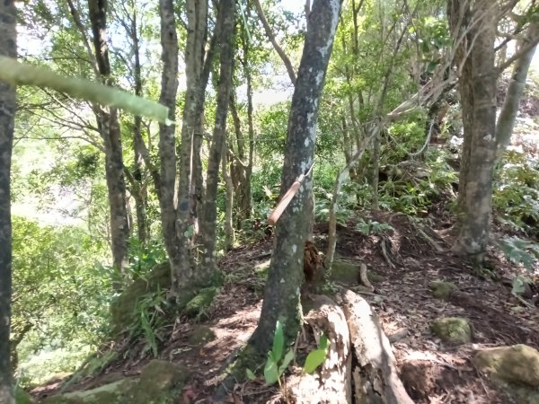 平溪區灰窯山驚險岩稜+司公碗帽山O型2897936