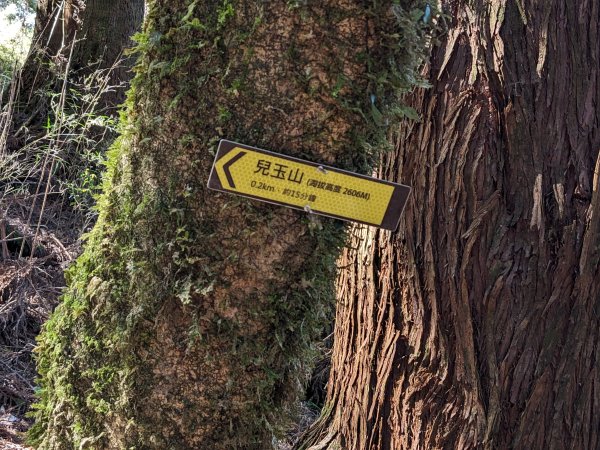 幾乎包場的兒玉山(自忠山)走東水山接特富野古道2548659