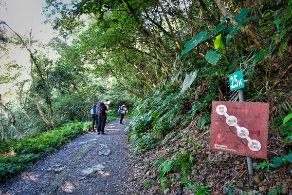 聖母峰 x 三角崙山 x 聖母山莊492980