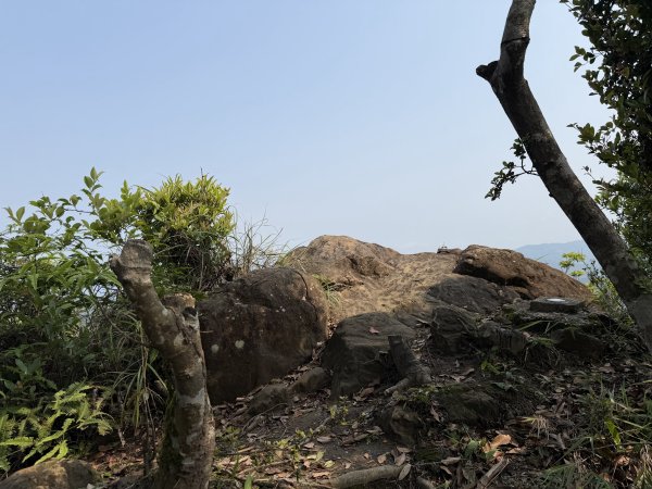 [微笑山線_第八段] 2026_0411 二格山系_炙子頭山3035079