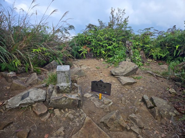 水雲三星～上島山（鳥嘴山）2931251