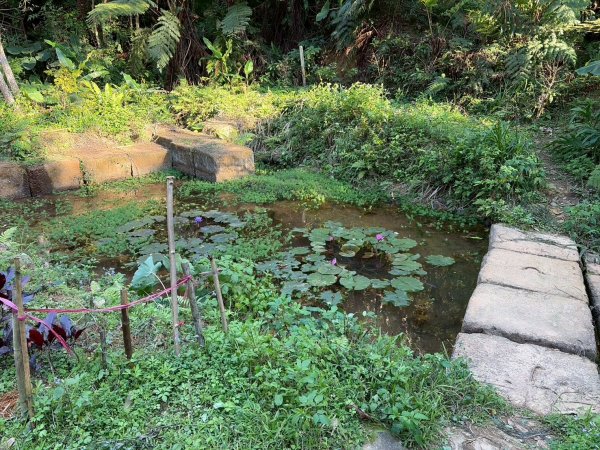 新北 林口 森林步道3015275