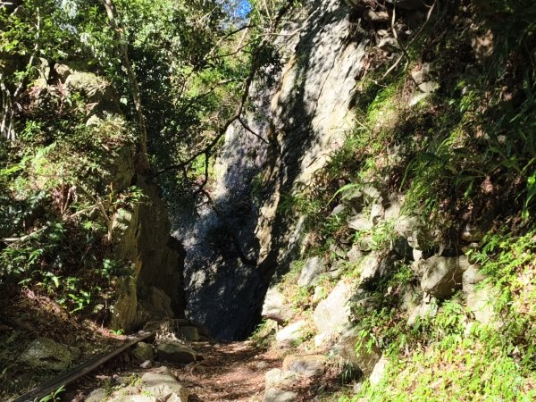 [玉山尋寶任務-07/12] 2025_0824 八通關雲龍瀑布步道2870636