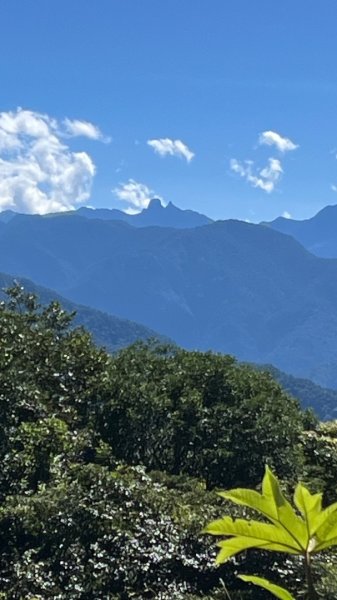 雪見大板根2877606