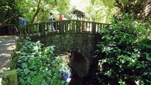 虎山環型步道2220066