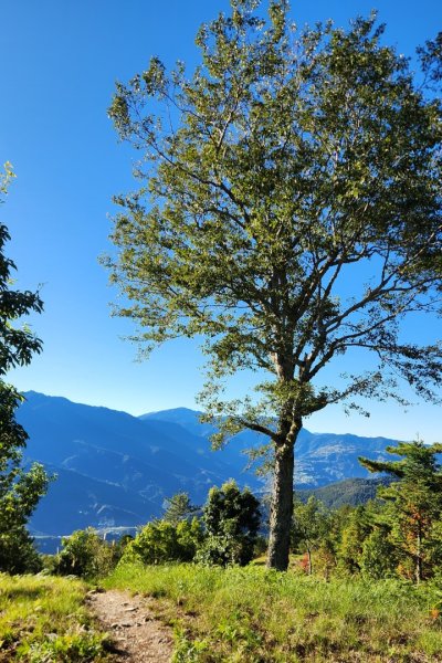 【中級山】馬武霸山，實至名歸的百岳觀景台2937726