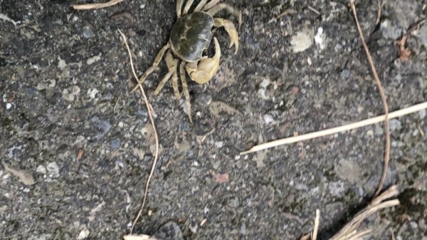 華山步道群1423582