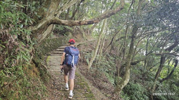 20251109 士林站到大湖站(福山宮_腰繞_燕溪古道_翠山步道_龍船岩_大溝溪)2932358