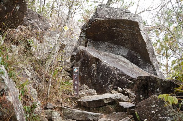 台中 和平 東卯山2674507