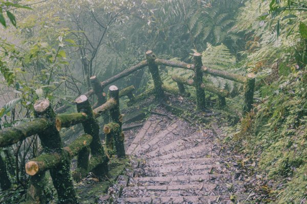 [新北]二格山2730225