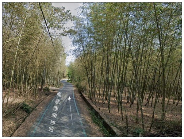 鳳凰谷步道(鹿谷鄉)2690458