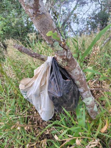 南東眼山連走有勝山2918770