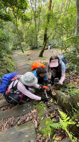 銀河洞越嶺貓空-新高麗坑山-銀獅縱走-猴山岳群峰+三條魚縱走3033524