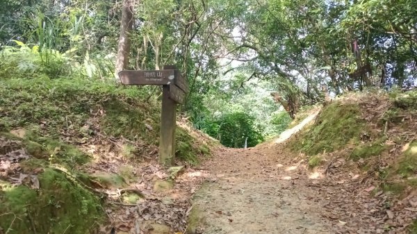 平溪區碩仁里-幼坑古道-幼坑山-幼坑山南鞍-大平林山-番子坑生態園區-番子坑3086149