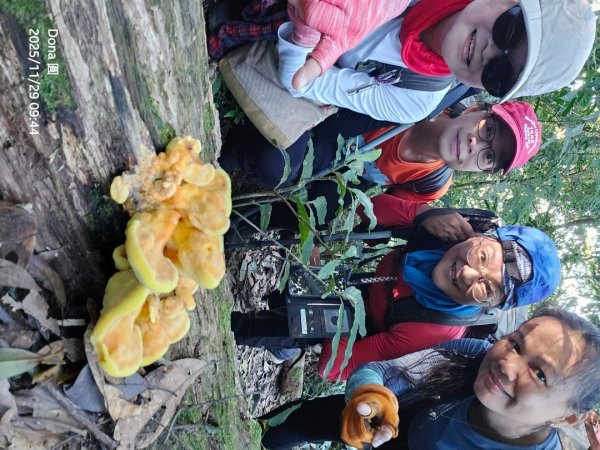 逆走逐鹿卡保環型路線全段全紀錄2949855