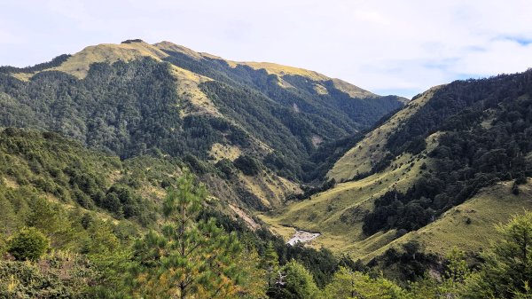 貼近山林來走個稍微不一樣風景的合歡山2989413