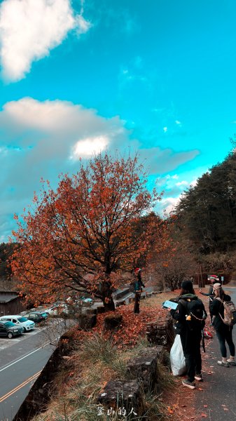 聖誕淨山團3007367