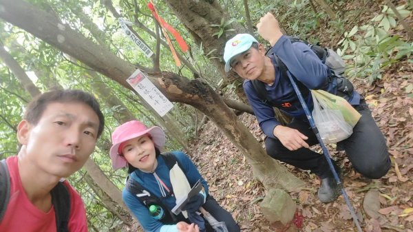 飛沙縱走33連峰2025年4月13日2760439