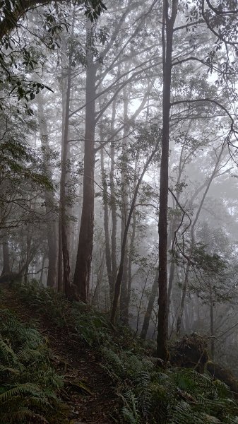 仙女散落的珍珠2723935