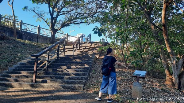 《台中》午後斜陽｜中科東大公園步道202311042336962