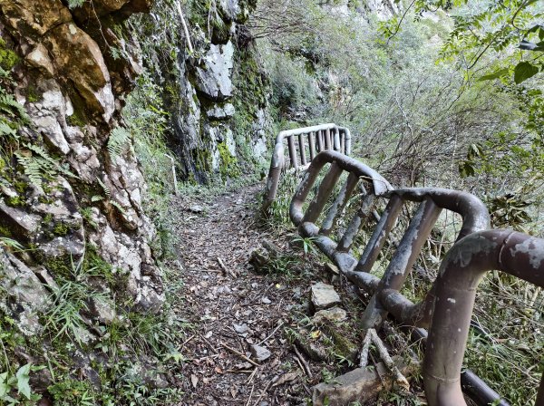 [玉山尋寶任務-07/12] 2025_0824 八通關雲龍瀑布步道2870677