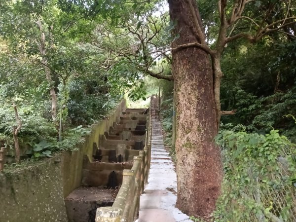 北投區大屯山西南南峰+西南峰+大屯山西峰+太子碑+清天宮步道O型2957136