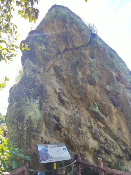 微笑山線：【大棟山系】百年大榕樹段2868475