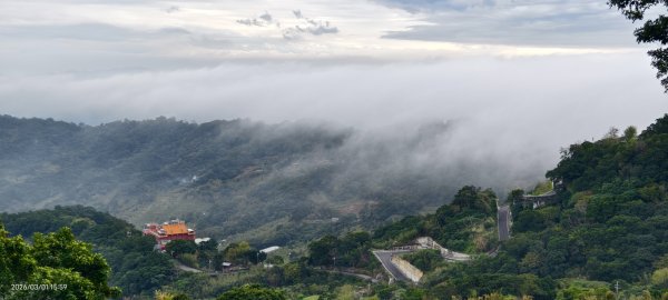 #雲瀑 #雲海 #琉璃光 #天空之城（林口）#觀音山 #林梢步道 3/13008576