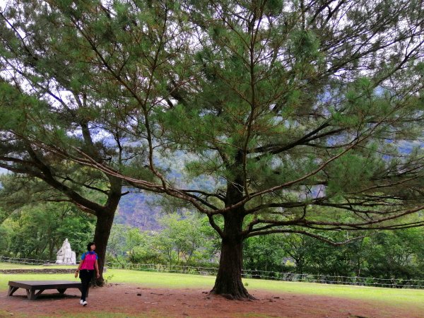 花蓮秀林。山谷裡的清悠~布洛灣景觀步道1038417