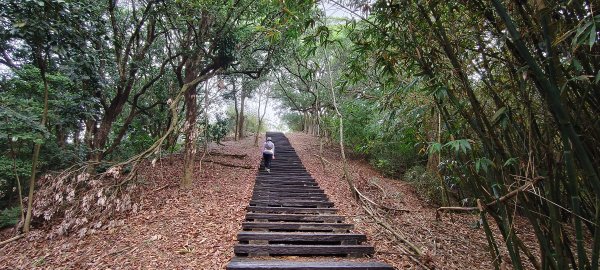 2025/12/27-鄭漢步道2972690